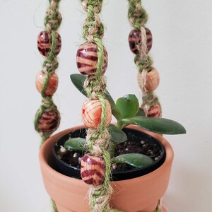 May include: A macrame plant hanger with green and natural colored cords and brown and orange striped wooden beads. A small potted plant is hanging from the hanger.