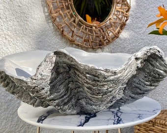 Adorno de centro de mesa contemporáneo con escultura de concha de almeja gigante de color gris medio brillante para ocasiones especiales
