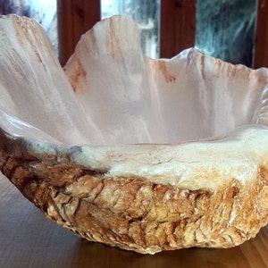Kleine Gebrannte Umber Riesenmuschel Skulptur Verzierung Schüssel Handgemacht für Hausgarten Terrasse Wintergarten Nautik Strand Interior Decor Geschenk