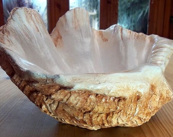 Small Burnt Umber Giant Clam Shell Sculpture Ornament Bowl Handmade for Home Garden Patio Conservatory Nautical Beach Interior Decor gift