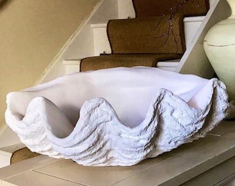 Può includere: Un grande guscio di vongola bianco, con una superficie testurizzata, si trova su un tavolo di legno marrone chiaro.