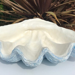 Pode incluir: Uma grande concha de amêijoa branca com uma borda azul. A concha é lisa e tem uma textura natural e orgânica.