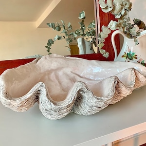 May include: A large, white ceramic clam shell planter with a textured, brown exterior. The planter is empty and ready to be filled with plants.