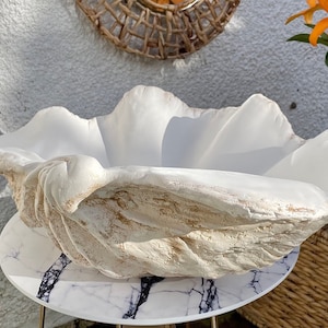 Centrotavola contemporaneo con conchiglia gigante di sabbia vera di medie dimensioni, decorazione per interni per occasioni speciali