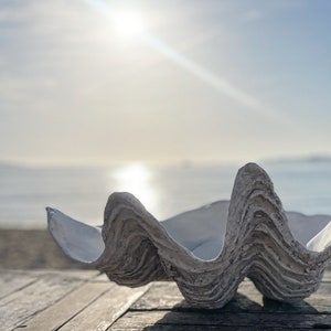 Könnte beinhalten: Eine große, strukturierte Muschelschale mit wellenförmigem Design in Grau- und Weißtönen. Die Schale befindet sich auf einer verwitterten Holzoberfläche, mit dem Meer und Sonnenlicht im Hintergrund. Es ist ein dekorativer Gegenstand.
