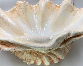 Giant Clam Shell Sculpture Bowl