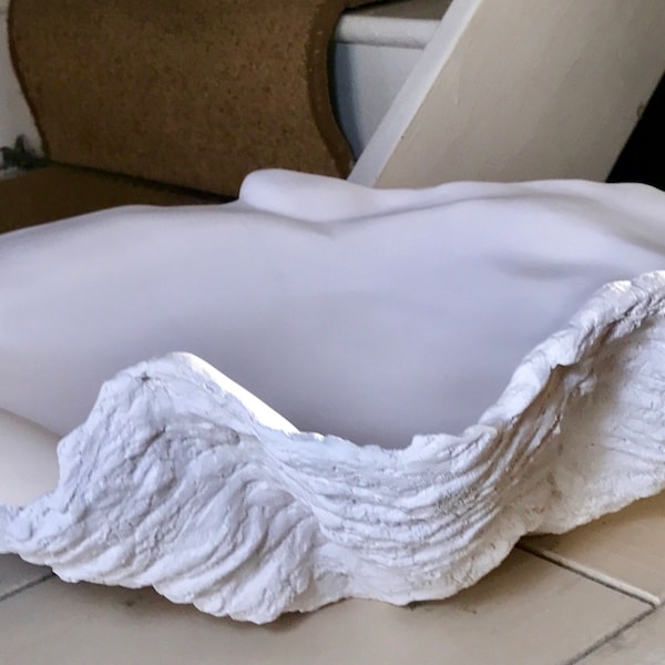 Medium White Giant Clam Shell Sculpture Art Finished in White Ornament Bowl Vessel Handmade for Home Fruit Bowl Nautical Beach Interior