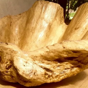 Small Rich Tobacco Giant Clam Handmade Sculpture Art Ornament Bowl for Home Conservatory Nautical Beach Interior Decor gift