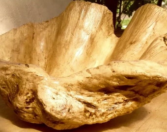 Escultura hecha a mano de almeja gigante de tabaco pequeño y rico, adorno artístico para el hogar, invernadero, decoración náutica de playa, regalo