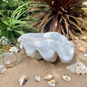 Könnte beinhalten: Eine große weiße Muschelschale mit einer glatten, strukturierten Oberfläche liegt auf einem Sandstrand mit verstreuten Muscheln.