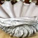 see more listings in the Giant Clam Shell section
