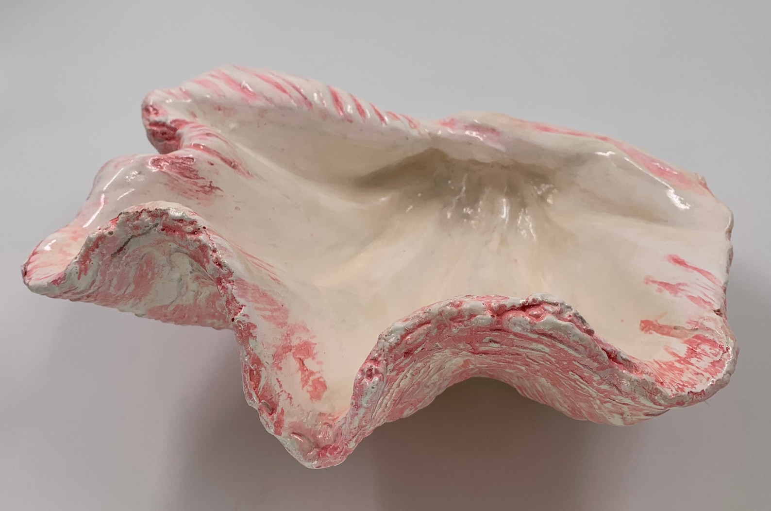 Giant Clam Shell Sculpture Art Ornament Bowl Handmade in Pink Etsy UK