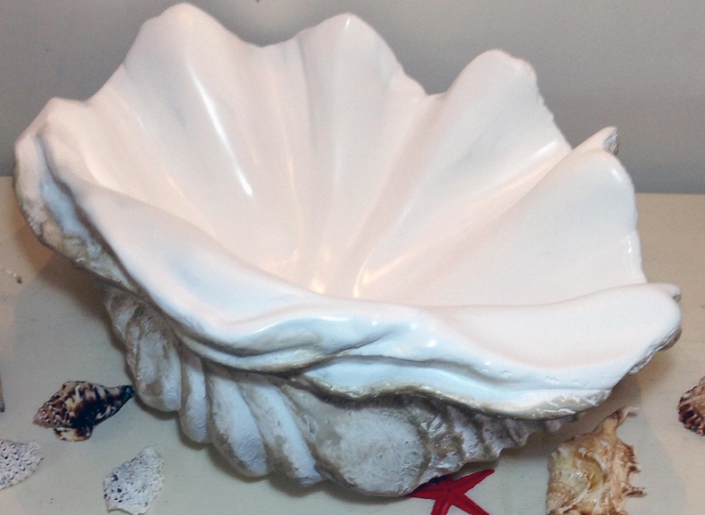 Giant Clam Shell Bathroom Sink Wash Basin Vessel Bowl Counter Etsy