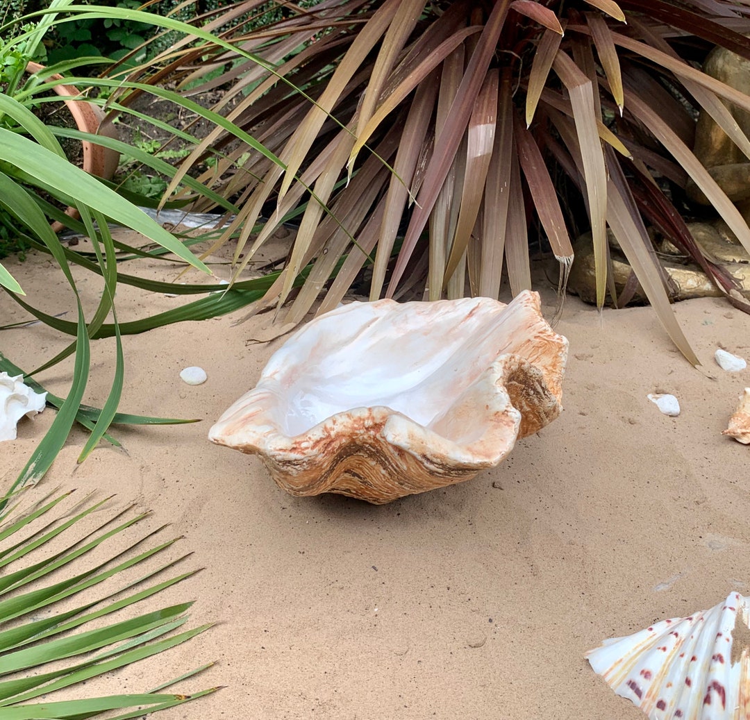 Giant Oyster Shell