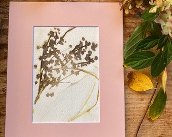 Botanical eco print, water rush leaves and blossoms,  original print, 8"x10" matted, pink, tan, unframed, Valentines's Day