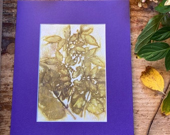 Botanical eco print, foraged leaves,  original print, 8"x10" matted, purple, unframed