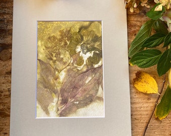 Botanical eco print, peony leaves and zinnia,  original print, 8"x10" matted, gray, unframed