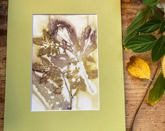 Botanical eco print, peony and rose leaves and amaranth, original print, 8"x10" matted, green, unframed