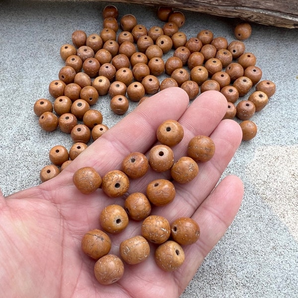 Tibetan Buddhist Bodhi Seed Loose Beads Pack of 108 Beads Mala Kit