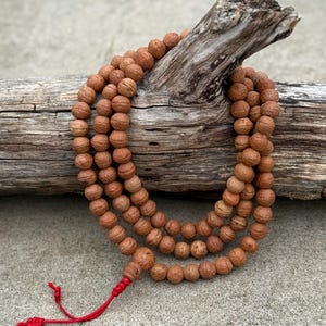 Tibetano raro da trovare meditazione buddista Nepal Bodhi Seed Mala / Rosario 108 piccole perle da 12 mm con marcatori in argento Scatola Mala gratuita