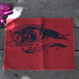 Op de afbeelding: Rode stof met een zwart-witte anatomische illustratie van een vogelkop met gelabelde onderdelen. De stof heeft een rafelige rand.