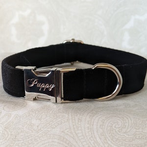 Customizable Engraved Luxe Velvet Puppy Kitten Collar | Kittenplay Petplay Gear bble7
