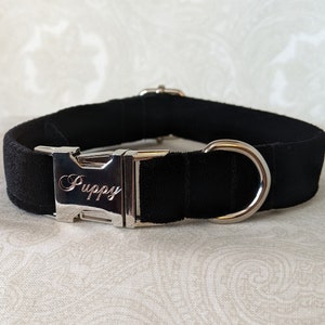 Customizable 3/4" Engraved Luxe Velvet Puppy Kitten Collar | Kittenplay Petplay Gear bble7