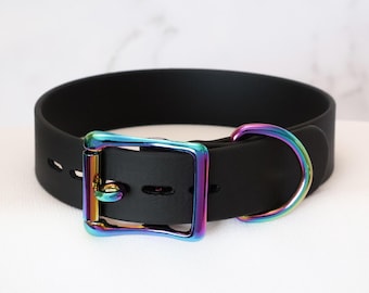 1" Rainbow Locking Buckle Collar | Durable & Comfortable, COLORFUL OPTIONS, Waterproof, Latex Free | BioThane - Vegan Leather Alternative