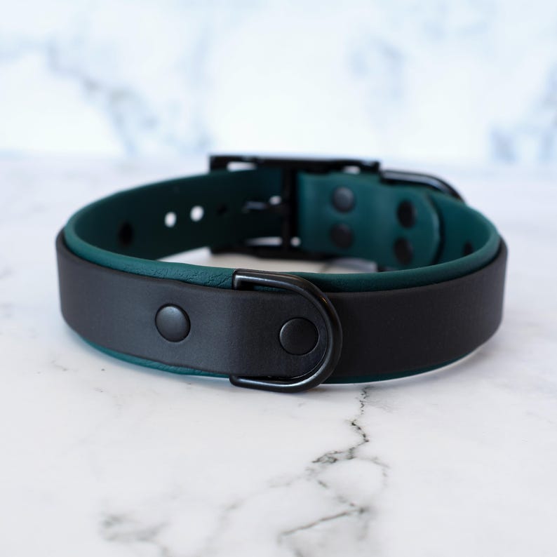 K&ouml;nnte beinhalten: Ein reversibler Hundehalsband in Schwarz und Teal mit einer schwarzen Metallschnalle und einem D-Ring.