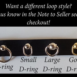 May include: Four different types of metal loops for attaching to a leash or collar.  The options are a small silver D-ring, a large silver D-ring, a gold D-ring, and a silver O-ring.