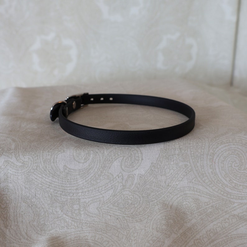 May include: A black leather dog collar with a silver buckle.