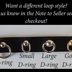May include: Four different types of metal loops for attaching to a leash or collar.  The options are a small silver D-ring, a large silver D-ring, a gold D-ring, and a silver O-ring.