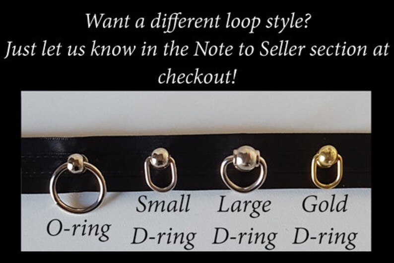 May include: Four different types of metal loops for attaching to a leash or collar.  The options are a small silver D-ring, a large silver D-ring, a gold D-ring, and a silver O-ring.