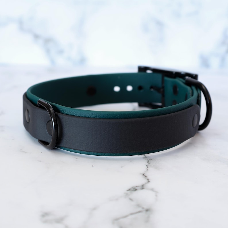 K&ouml;nnte beinhalten: Ein schwarzes und blaugr&uuml;nes Hundehalsband mit einer schwarzen Metallschnalle und einem D-Ring.