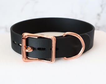 1" Rose Gold Locking Buckle Collar | Durable & Comfortable, COLORFUL OPTIONS, Waterproof, Latex Free | BioThane - Vegan Leather Alternative