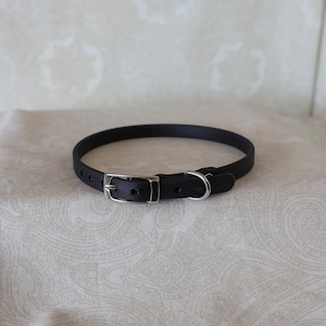 May include: A black rubber dog collar with a silver buckle and D-ring.
