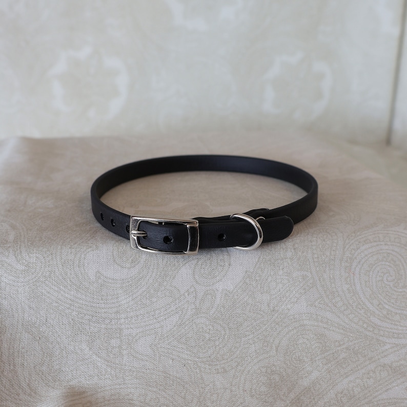 May include: A black rubber dog collar with a silver buckle and D-ring.