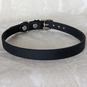 May include: A black rubber dog collar with a silver buckle.