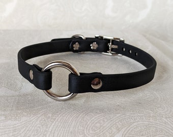 May include: Black leather collar with a silver ring and buckle. The collar has two silver studs on the strap.