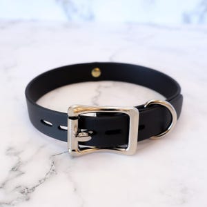 3/4" Locking Buckle Collar w/ Loop | Durable & Comfortable, COLORFUL OPTIONS, Waterproof, Latex Free | BioThane - Vegan Leather Alternative