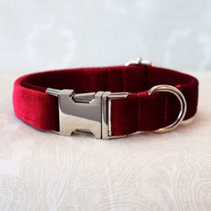Op de afbeelding: Een rode fluwelen hondenhalsband met een zilveren gesp en een zilveren D-ring.