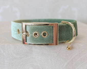 1" Sage Green and Gold Buckling Luxe Velvet Puppy Kitten Collar | Kittenplay Petplay Gear