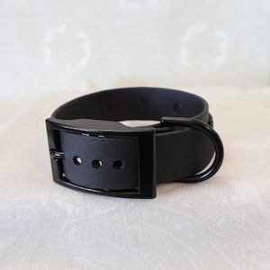 May include: A black rubber dog collar with a black metal buckle and D-ring.