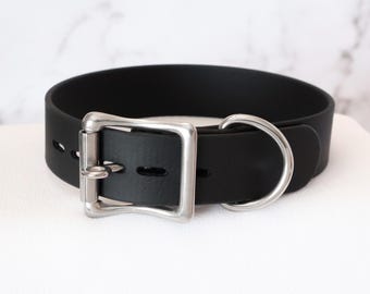 1" Stainless Steel Locking Buckle Collar | Durable & Comfortable, COLORFUL OPTIONS, Waterproof, Latex Free | BioThane - Vegan Leather