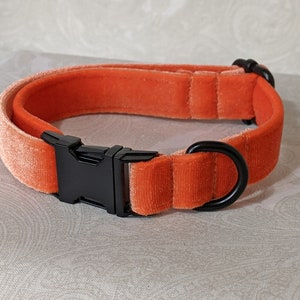 Collar ajustable de terciopelo de lujo naranja y negro de 1,9 cm para cachorros y gatitos / Kittenplay Petplay Gear bble7