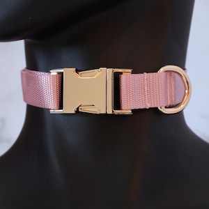 Pode incluir: Uma coleira de nylon rosa para c&atilde;es com uma fivela e um anel em D dourados.