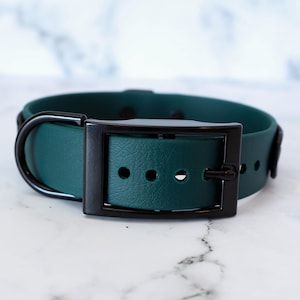 K&ouml;nnte beinhalten: Ein dunkelgr&uuml;nes Hundehalsband mit einer schwarzen Schnalle und einem D-Ring aus Metall. Das Halsband hat f&uuml;nf L&ouml;cher zum Einstellen der Gr&ouml;&szlig;e.