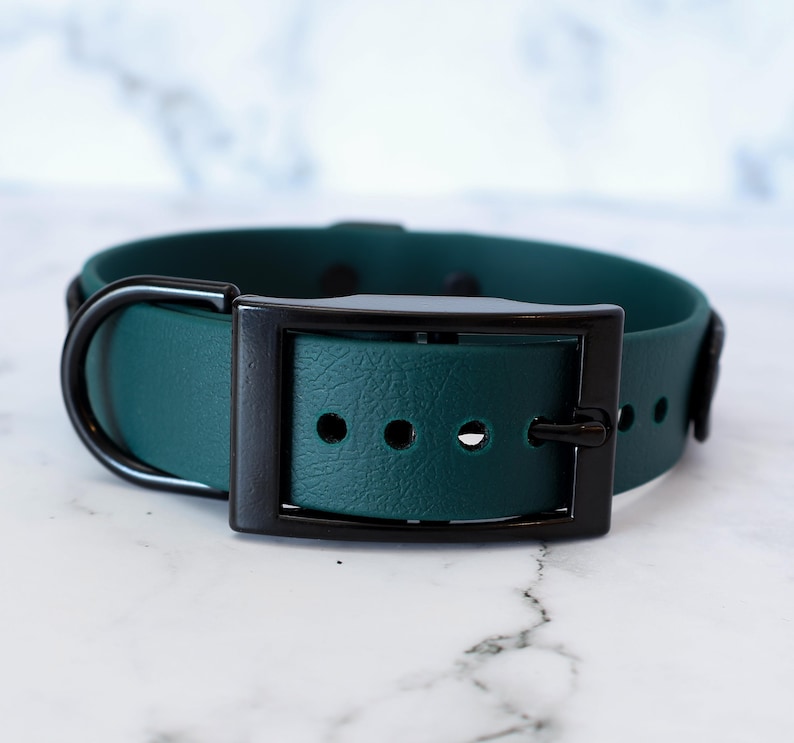 K&ouml;nnte beinhalten: Ein dunkelgr&uuml;nes Hundehalsband mit einer schwarzen Schnalle und einem D-Ring aus Metall. Das Halsband hat f&uuml;nf L&ouml;cher zum Einstellen der Gr&ouml;&szlig;e.