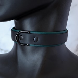 K&ouml;nnte beinhalten: Ein schwarzes Lederhalsband mit tealgr&uuml;nem Besatz und einem silbernen D-Ring.