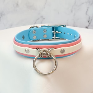 May include: A blue, pink, and white layered collar with a silver metal ring and buckle. The collar is made of a soft, flexible material and features a series of holes for adjustment.